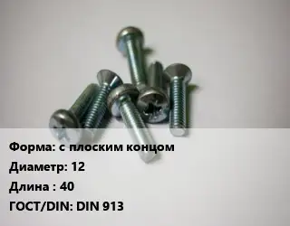 Винт с плоским концом 12х40 DIN 913